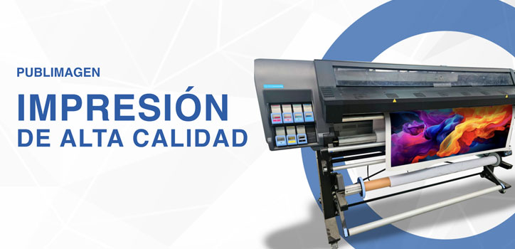 Página web Publiimagen Chihuahua